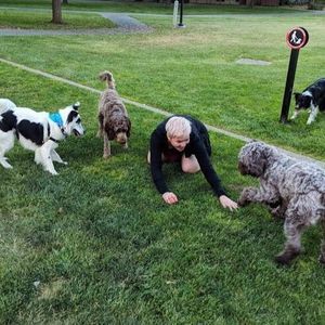 Meet your Posher, Linsey